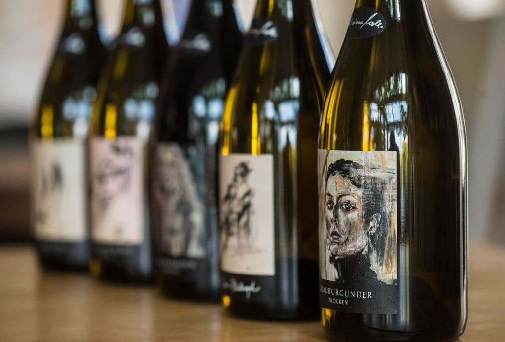 Flaschen im Weingut Mollwein
